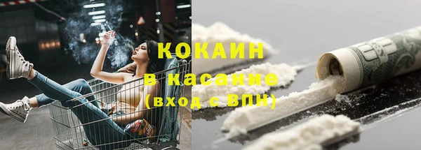 стаф Аркадак
