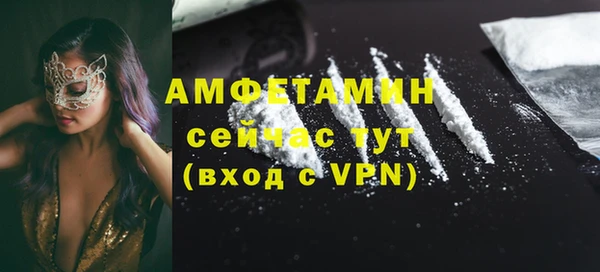 стаф Аркадак