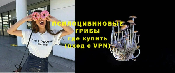 ПСИЛОЦИБИНОВЫЕ ГРИБЫ Арсеньев