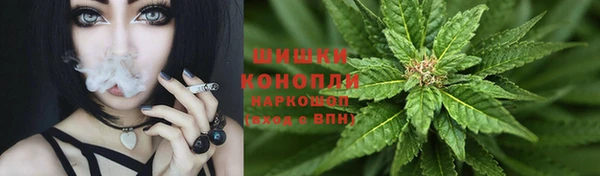 стаф Аркадак