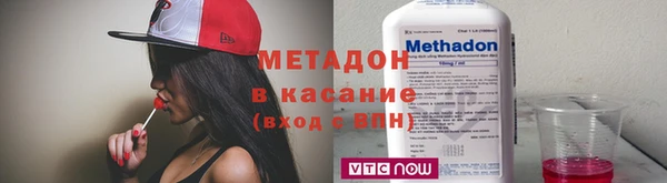 стаф Аркадак