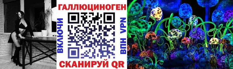 блэк спрут зеркало  купить   Сергач  Псилоцибиновые грибы MAGIC MUSHROOMS 